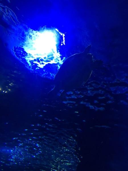南平消防深入开展消防安全宣传活动